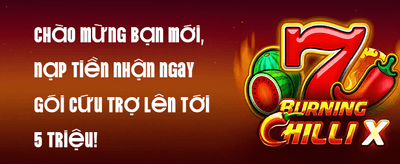 Nạp Đầu 100%